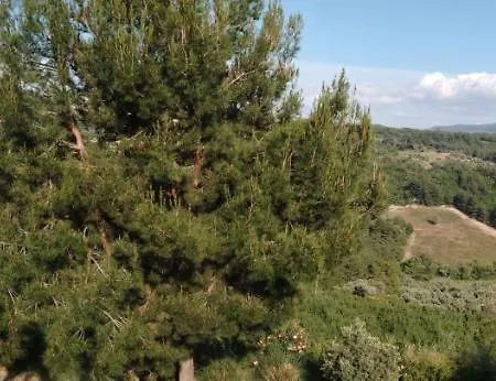 Villa Exclusive Kusadası