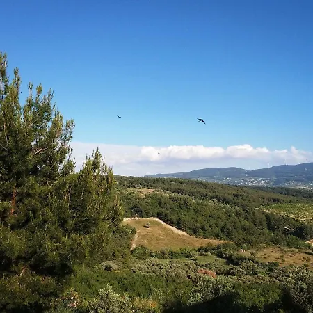 Exclusive * Kusadası