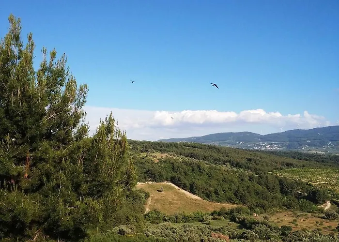 Exclusive * Kusadası