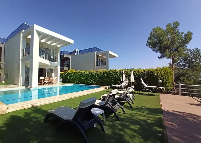 Exclusive * קוסדסי