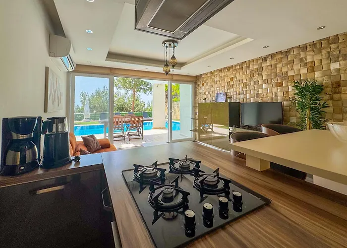 וילה Exclusive *